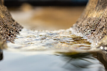 Close-up of water flowing from a tree trunk in a stream