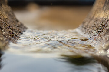 Close-up of water flowing from a tree trunk in a stream