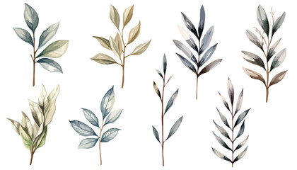 Watercolor green leaves plant clipart collection.  Isolated on white background vector illustration set. 