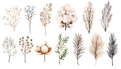 Watercolor twig, flowers and cotton  plant clip art collection.  Isolated on white background vector illustration set. 