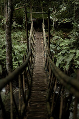 Suspended bamboo bridge in the jungle on the popular island of Bali.