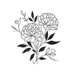 Hand drawn floral minimal elements in line art style. Greenery for decoration, wild and garden plants, branches, leaves. Vector illustration for logo. peony flower