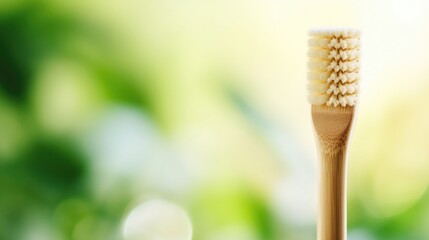 Closeup of a bamboo toothbrush, with biodegradable bristles and a compostable handle.