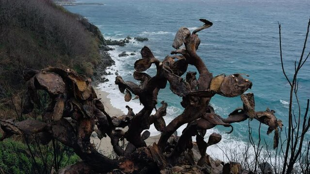 decadent nature over a ocean cliff view 