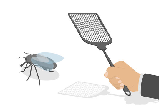 3D Isometric Flat  Conceptual Illustration of Killing Flies, Fly Swatter