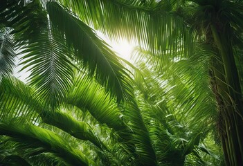 Beautiful green jungle of lush palm leaves palm trees in an exotic tropical forest tropical plants nature concept for panorama wallpaper selective sharpness stock photoRainforest Tropical Rainforest