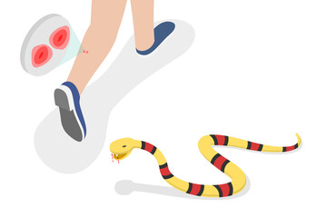 3D Isometric Flat  Conceptual Illustration of Poisonous Snake Bit , Venomous Serpent Snap