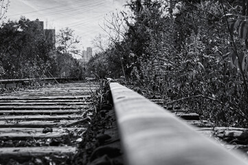 Black and white image of a railway track going into perspective in an autumn forest with a close-up of one rail in the foreground