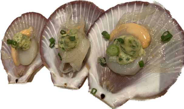 sea shell prepared for grill on isolated background, scallop Japanese fusion food
