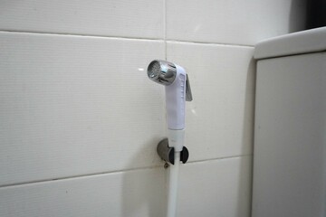 Shower in the bathroom
