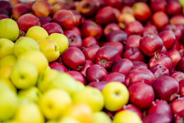 Fresh red and yellow apples in wooden crates sold on farmers food market during annual spring fair in Vilnius