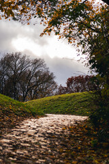 path in autumn