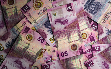 Mexican axolotl bills