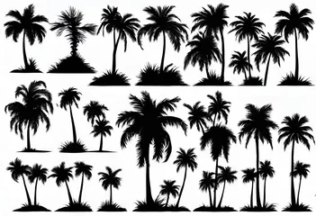 Poster Set of palm trees black color and isolated white background © Produzir