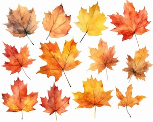 Naklejka na ściany i meble Watercolor Autumn Leaves