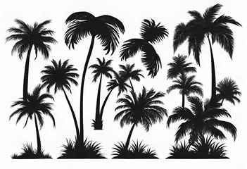 Fototapeten Set of palm trees black color and isolated white background © Produzir