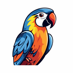 Vector illustration of a tropical parrot set with colored feathers and wings.