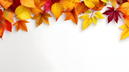 Autumn leaves on a blank white paper with copy space, mockup, top view.