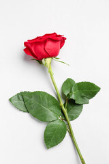 Obraz premium Single red rose with green stem and leaves on white background, love and romance concept, valentine's day gift
