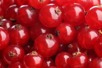 Many tasty fresh red currants as background, closeup