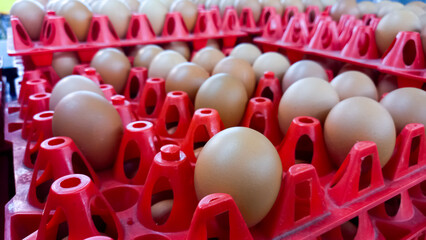 Obraz premium Blitar, Indonesia, January 09, 2024: Selective focus shot of a bunch of raw chicken eggs placed in a red egg container tray
