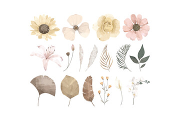Dried Flower Illustration Collection Set - obrazy, fototapety, plakaty