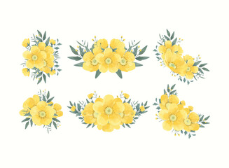 Yellow Buttercup Flower Illustration Set