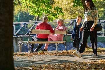 Elderly couple finding solace and joy as they rest on a park bench, engaged in heartfelt...