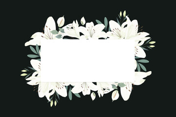 White Lily Flower Frame Background