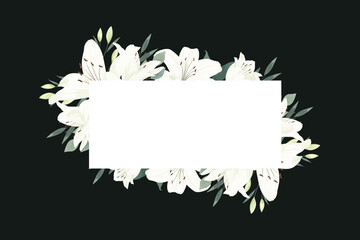 White Lily Flower Frame Background