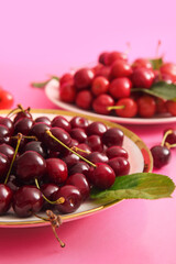 Plates with sweet cherries and leaves on pink background