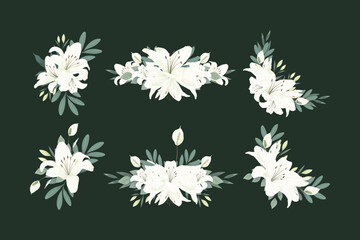 Obraz premium White Lily Flower Illustration Set