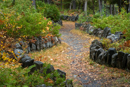 rustic path lined with stones, winds its way along with colourful fallen leaves.