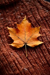 Obraz premium Close-up of a single autumn leaf on a woolen sweater AI generated