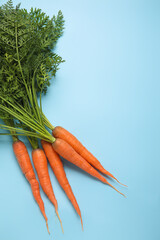 Fresh carrots with leaves on blue background - obrazy, fototapety, plakaty