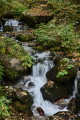 Pretty small waterfall in the forest