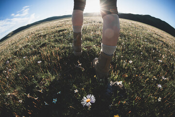 Woman hiker legs walking beautiful flowering grassland