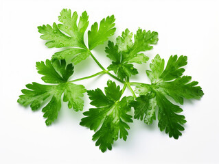 Close-up of fresh parsley leaves on white background, vitamin and health concept. Generative AI.