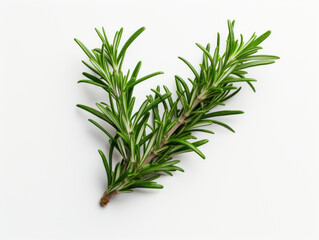 Fototapeta premium Close-up of fresh rosemary leaves on white background, vitamin and health concept. Generative AI.