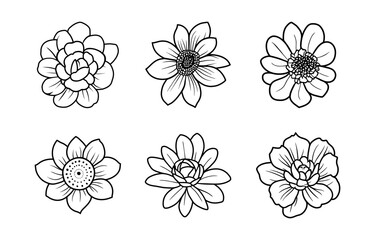 Hand drawn simple flower illustration