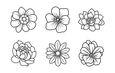 Hand drawn simple flower illustration