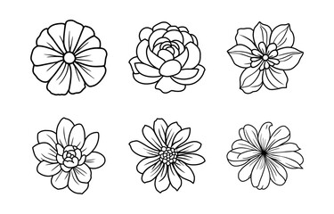 Hand drawn simple flower illustration