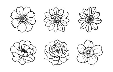 Hand drawn simple flower illustration