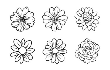 Hand drawn simple flower illustration