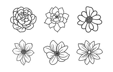 Hand drawn simple flower illustration