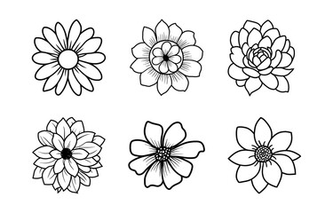 Hand drawn simple flower illustration
