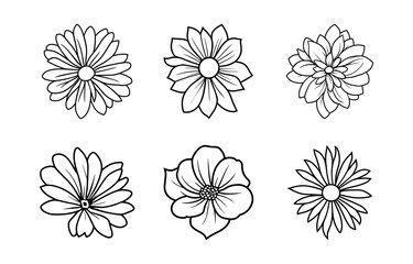 Hand drawn simple flower illustration