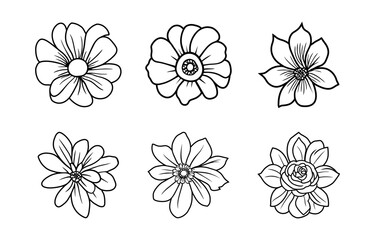Hand drawn simple flower illustration
