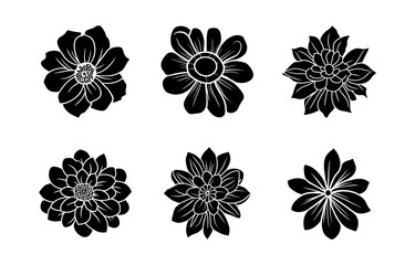 Hand drawn simple flower illustration