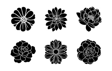 Hand drawn simple flower illustration